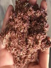 918.com(中国区)官方网站